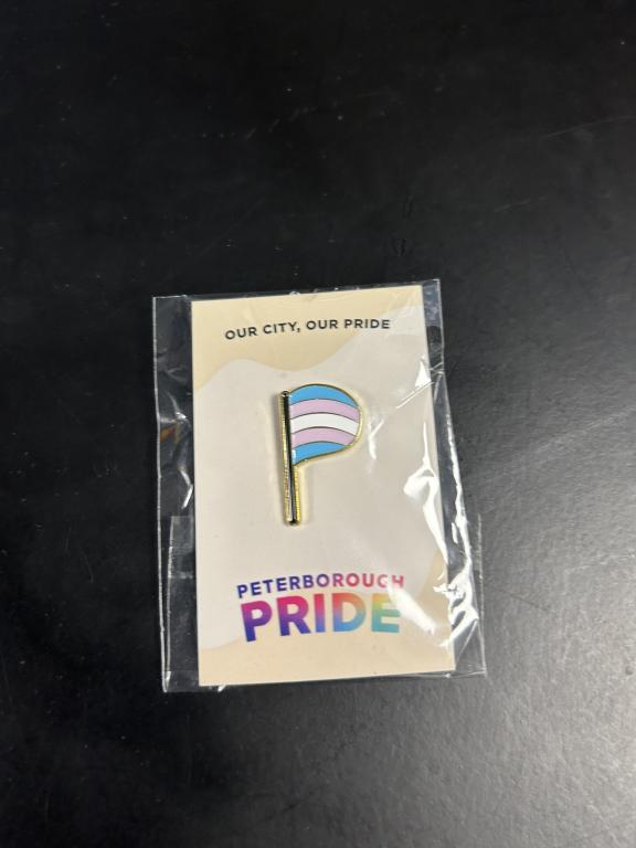 a p shaped pin with trans colours, in a packet